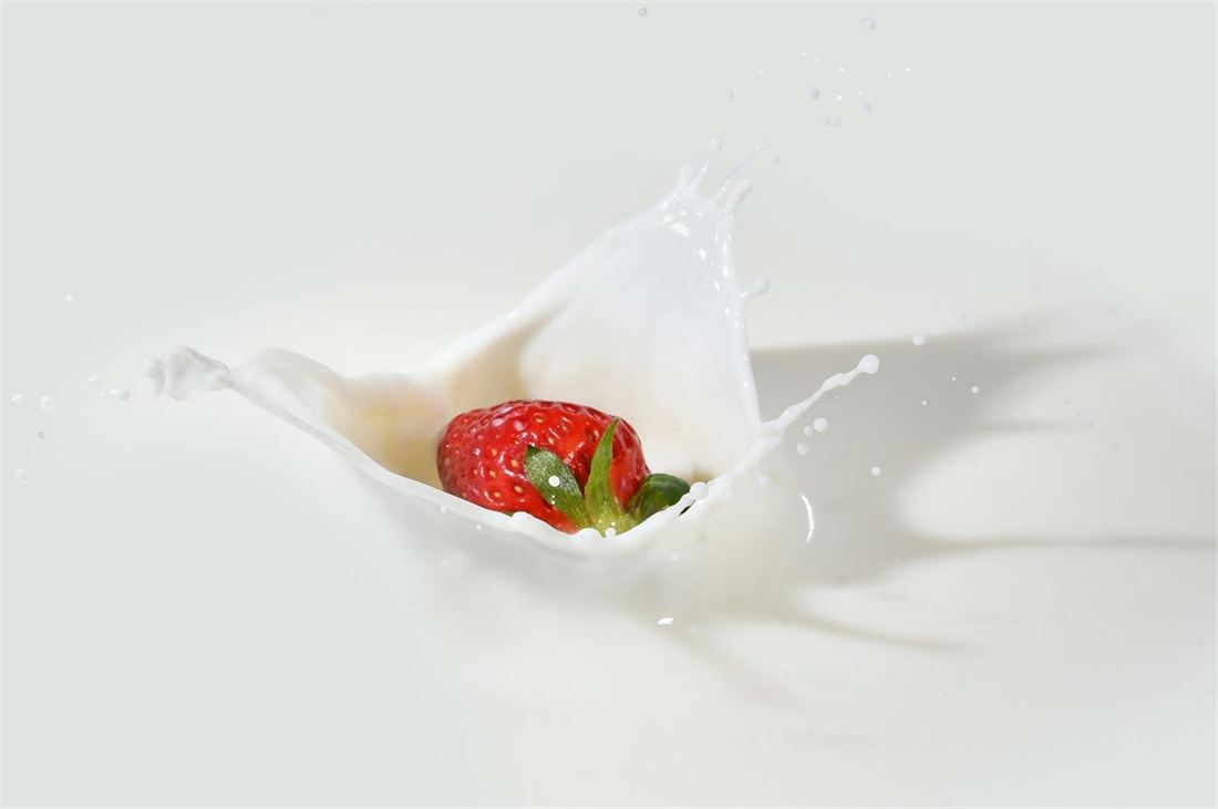 Fresh cultured milk